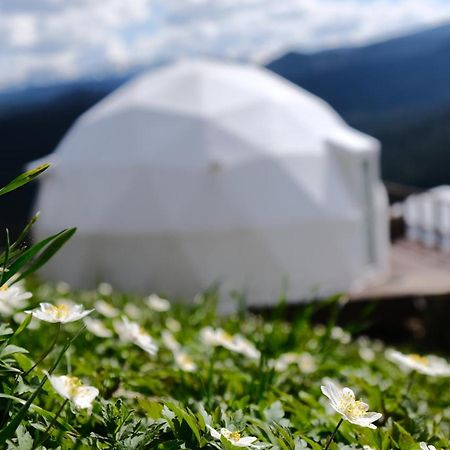 Глемпінг Де Вайб Otel Vorokhta Dış mekan fotoğraf